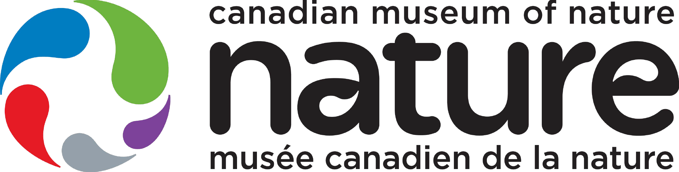 Opportunities Head, Design